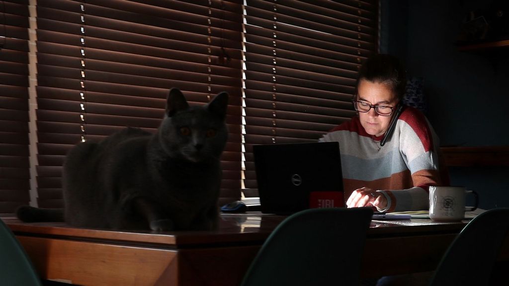 DotMX #286: Resumen semanal de&nbsp;noticias