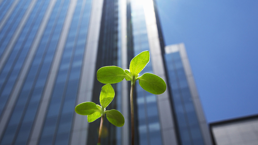 ¿La tecnología está protegiendo a nuestro&nbsp;planeta?