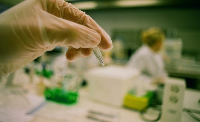 Calico, la empresa de biotecnología de&nbsp;Google