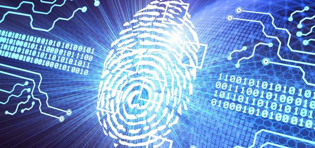 La importancia de tu identidad en&nbsp;línea